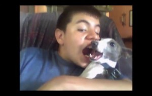 Dog mimicking owner's face